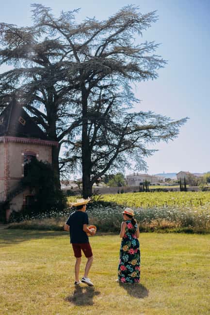 From Lyon: Beaujolais Wine Route Half-Day Tour - The Beaujolais Wine Route Drives: What Fleurie, Morgon, and Moulin à Vent Teach You