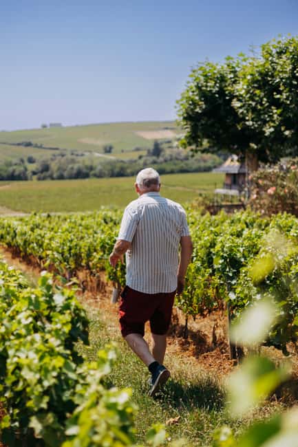 From Lyon: Beaujolais Wine Route Half-Day Tour - The Family-Run Winery Finale: Meet the Winemaker and Taste Five Wines