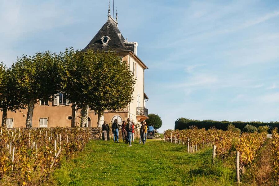 From Lyon: Beaujolais Wine Tour with Tastings - Why this Beaujolais wine tour works so well from Lyon