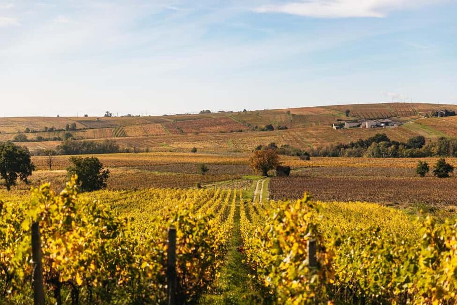 From Lyon: Beaujolais Wine Tour with Tastings - Following the Wine Route: what Morgon, Moulin a Vent, and Fleurie add
