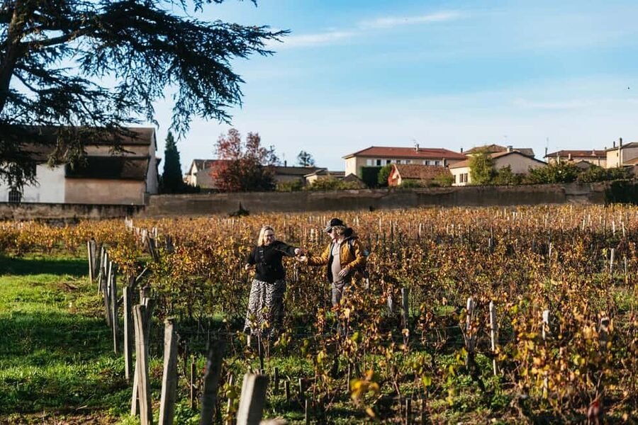 From Lyon: Beaujolais Wine Tour with Tastings - Second winery stop: tasting crus with a fresh perspective