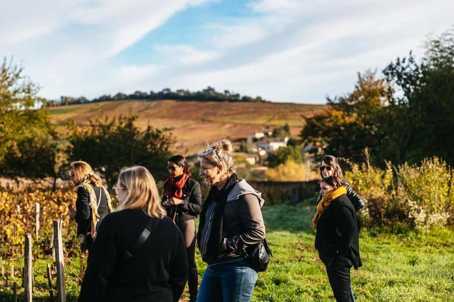 From Lyon: Beaujolais Wine Tour with Tastings - What to pack and how to behave at winery stops