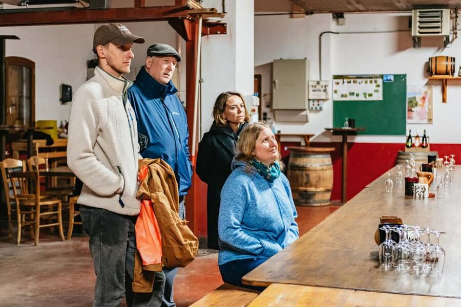 From Lyon: Golden Stones Beaujolais Wine Tasting Tour - Family Winery Finale and Lyon Mâchon Pairings