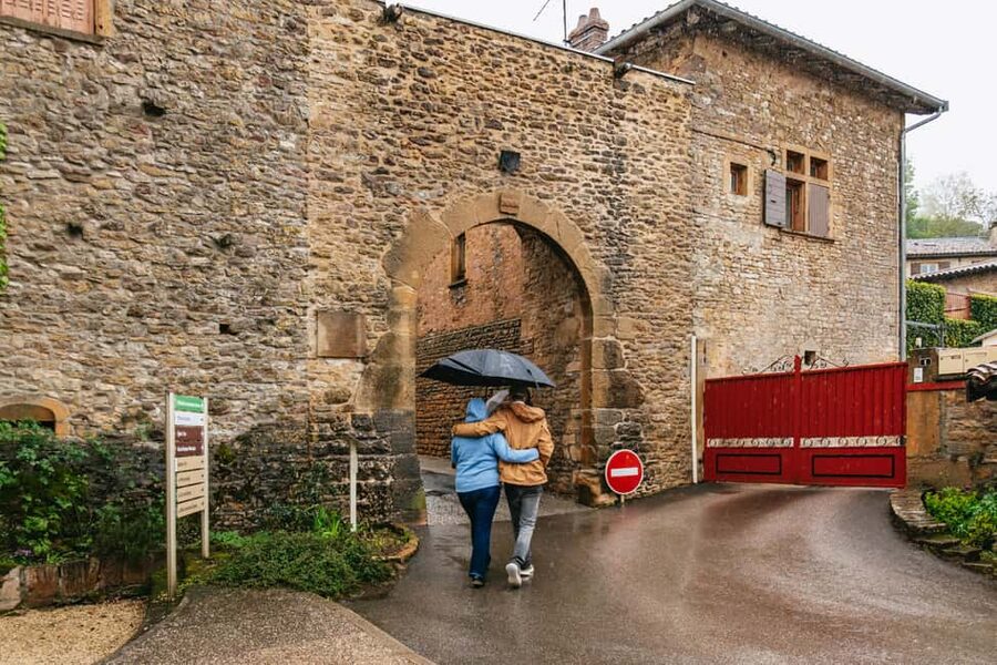 From Lyon: Golden Stones Beaujolais Wine Tasting Tour - Price and Value: What $116 Actually Covers