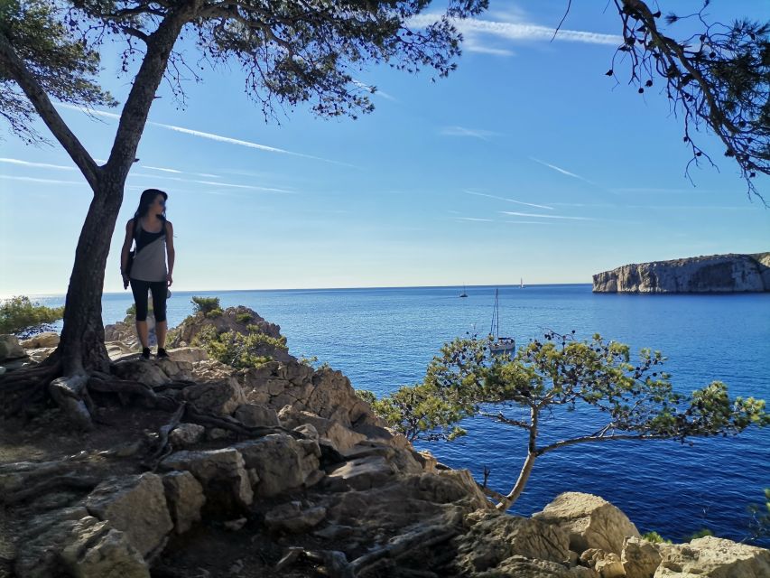 From Marseille: Calanques National Park Guided Hike - Calanques National Park Guided Hike, key takeaways