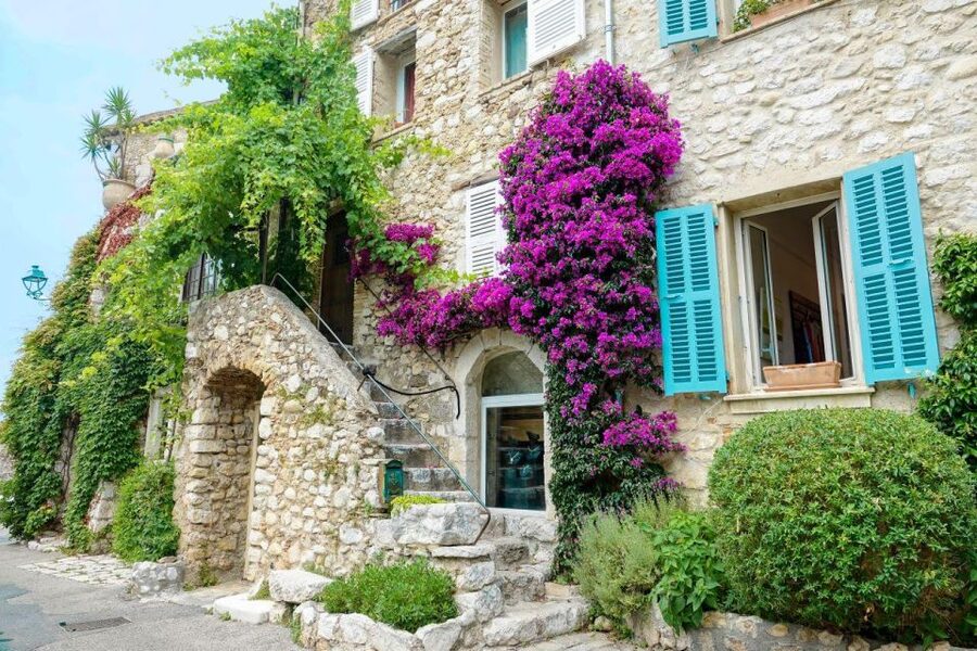 From Nice: Cannes, Antibes & St Paul de Vence Half-Day Tour - Should you book this Nice to Cannes Antibes and St Paul half-day tour?