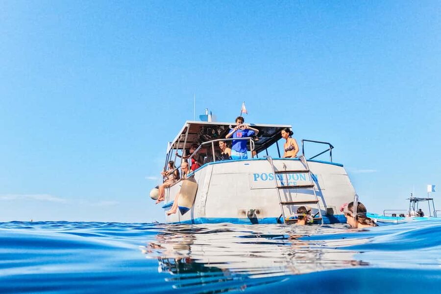 From Nice: French Riviera Swimming and Snorkeling Cruise - The Price: Why This One Usually Feels Like Good Value