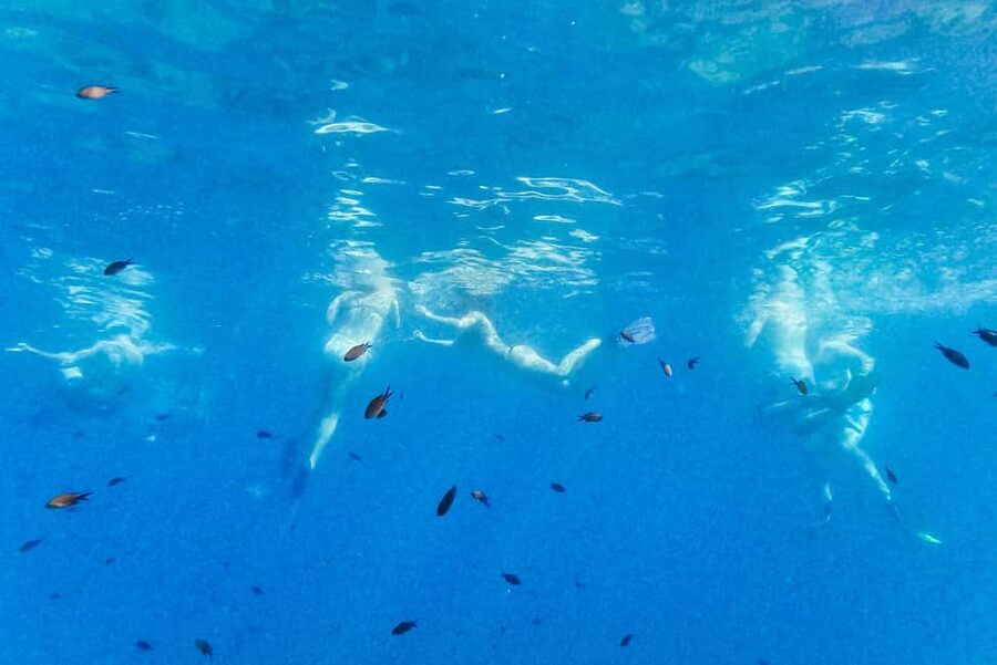 From Nice: French Riviera Swimming and Snorkeling Cruise - What’s Included vs. What You Need to Bring