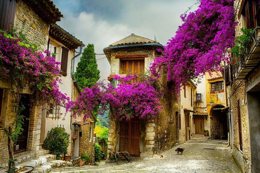 From Nice: Provence and its Medieval Villages Full-Day Tour - Gourdon and the Saut du Loup waterfalls: fortified views without effort