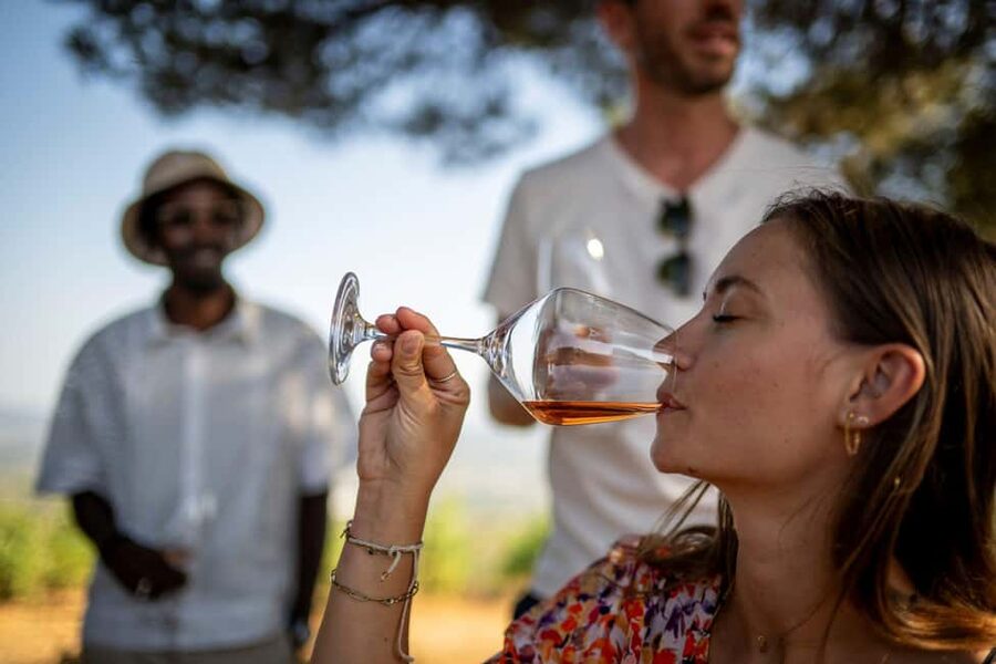 From Nice: Provence Wine Full-Day Tour - Small details that make the day run smoothly
