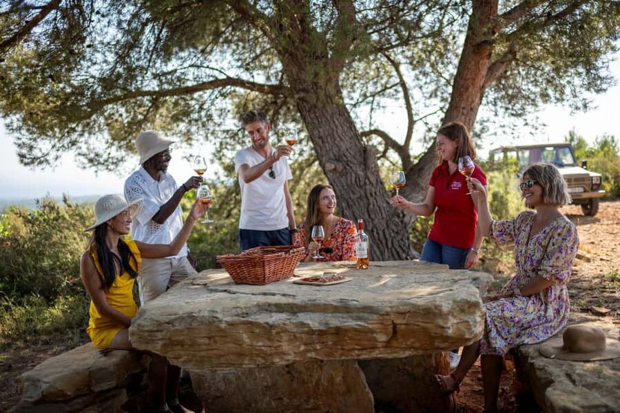 From Nice: Provence Wine Full-Day Tour - Leaving Nice in comfort, arriving ready to taste