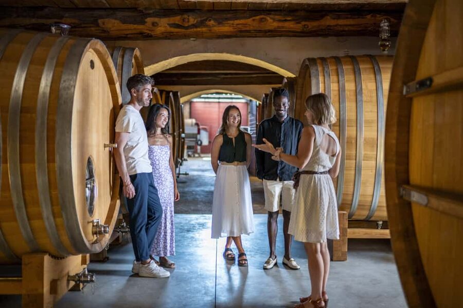 From Nice: Provence Wine Full-Day Tour - The tasting mini-masterclass: how to taste (and not guess)