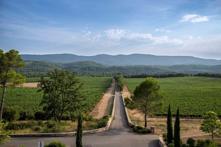 From Nice: Provence Wine Full-Day Tour - Lunchtime in a Provençal medieval village, and what to budget