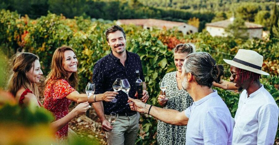 From Nice: Provence Wine Full-Day Tour - Stop 3: Organic wines, gardens, and one of the prettiest cellar settings