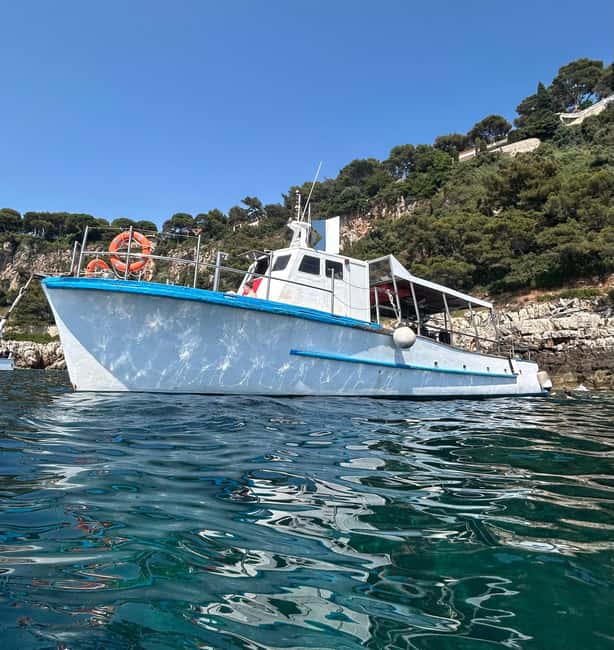 From Nice: Villefranche Bay Swimming & Snorkeling Boat Tour - Key points before you go
