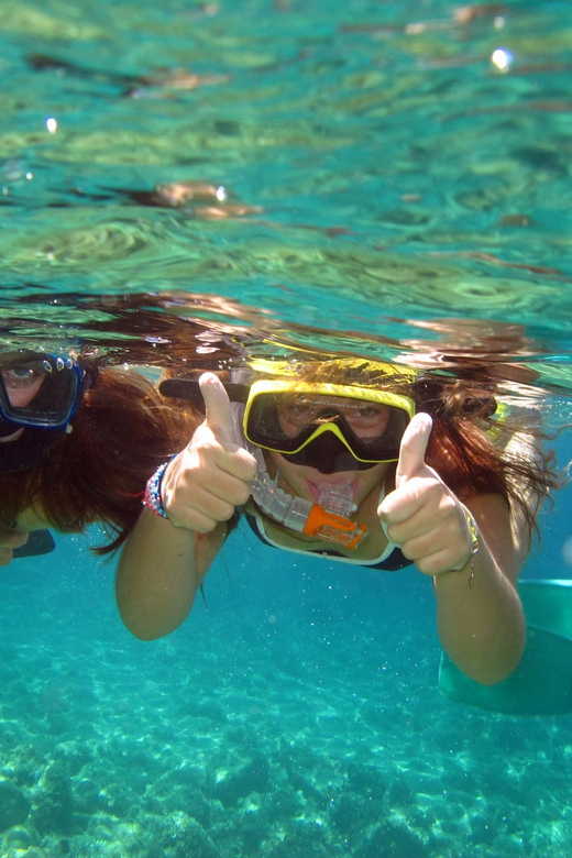 From Nice: Villefranche Bay Swimming & Snorkeling Boat Tour - Price and value: why $58 can be worth it here