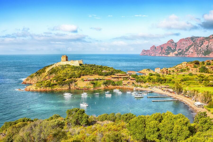 From Ota: Scandola Nature Reserve Eco-Friendly Boat Tour - Who this tour fits best