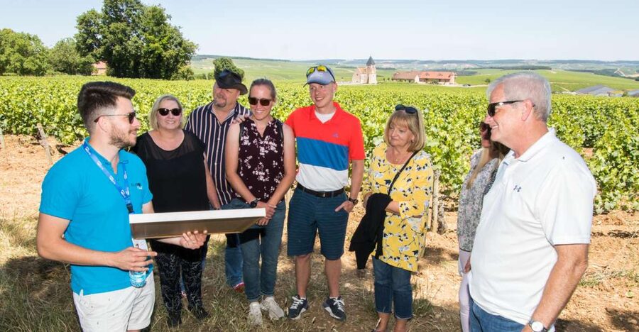 From Paris: Burgundy Region Winery Tour with Tastings - Key highlights you should care about