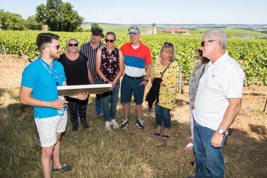 From Paris: Burgundy Region Winery Tour with Tastings - Paris to Burgundy in one long, well-planned day