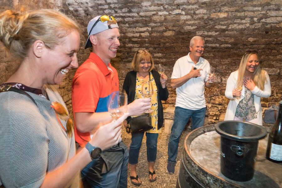 From Paris: Burgundy Region Winery Tour with Tastings - Chablis lunch and the freedom to choose