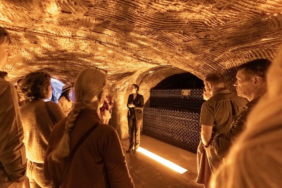 From Paris: Day Trip to Champagne with 8 Tastings & Lunch - The 8 tastings: how to make sense of the pours