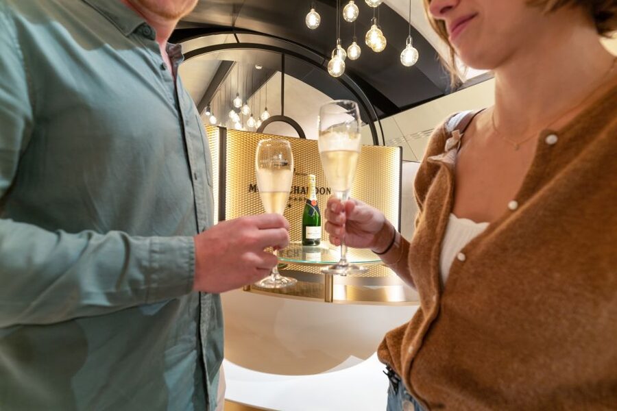 From Paris: Day Trip to Champagne with 8 Tastings & Lunch - Who should book this Champagne day trip from Paris