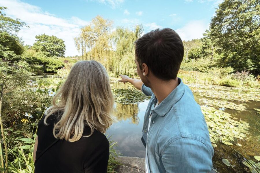 From Paris: Day Trip to Giverny & Versailles with Lunch - Versailles Highlights: Hall of Mirrors and the Grands Appartements