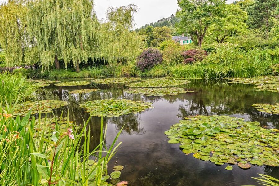 From Paris: Guided Day Trip to Monet's Garden in Giverny - Key highlights I’d plan around
