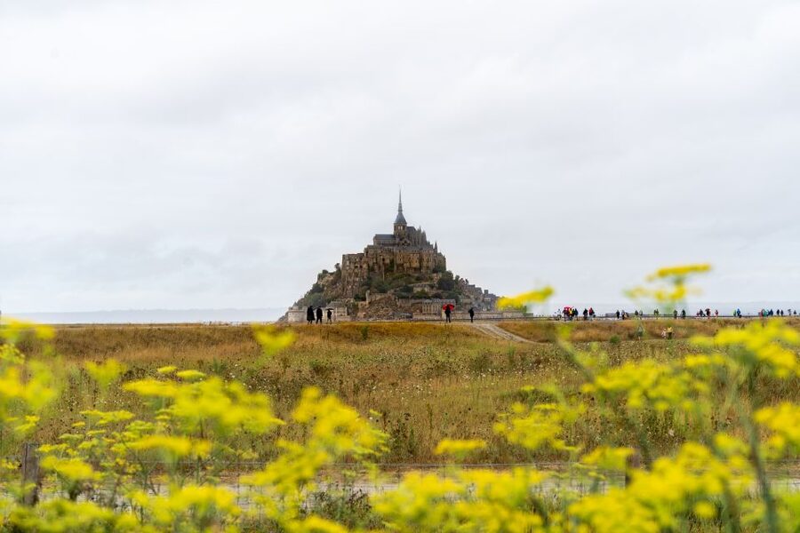From Paris: Mont Saint Michel Day Trip with a Guide - Price and Logistics: Does $128 Make Sense for You?