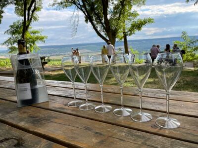 Reims and Champagne Tasting Full-Day Tour