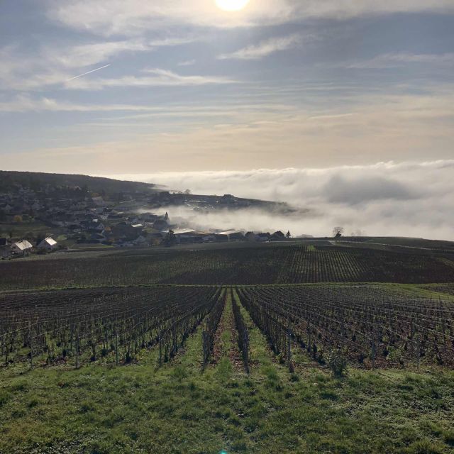From Paris: Reims and Champagne Tasting Full-Day Tour - Marne Photo Stop and Vineyard Time: Views, Air, and Another Taste