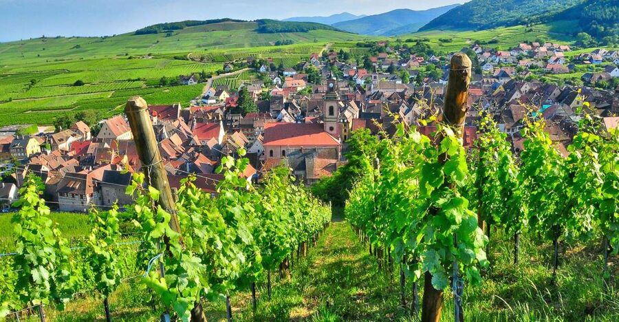From Paris: Small-Group Champagne Day Trip with Six Tastings - Key highlights to look for