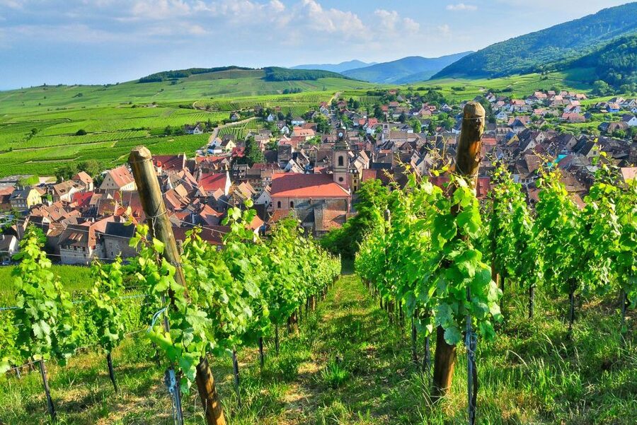 From Paris: Small-Group Champagne Day Trip with Six Tastings - Family-run winery visit: the vineyard story you actually remember
