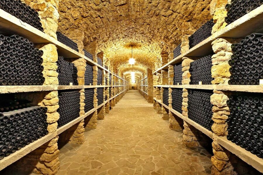 From Paris: Small-Group Champagne Day Trip with Six Tastings - Six tastings, one day: how to keep your palate sharp