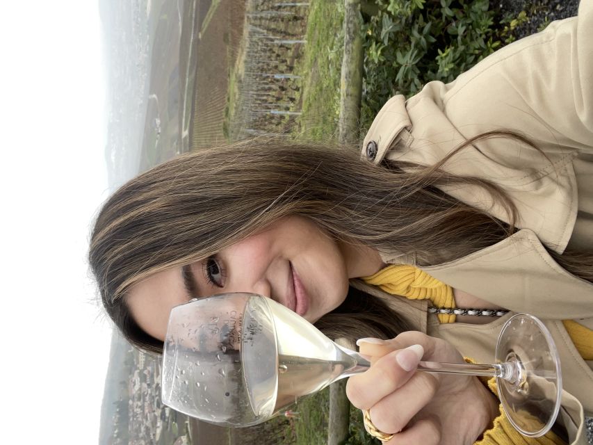 From Paris: Small-Group Champagne Tour with 3-Course Lunch - Price and value: does $411 make sense?