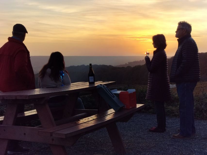 From Paris: Small-Group Champagne Tour with 3-Course Lunch - Guides make or break the vibe, and this tour has strong ones