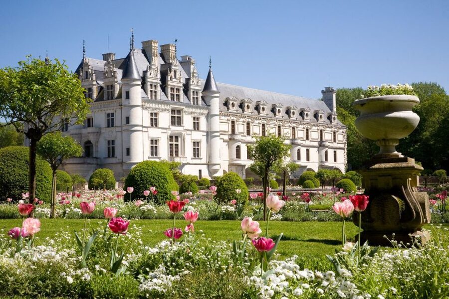 From Paris: Small-Group Loire Valley Castles Full-Day Tour - Château de Chambord, Columns, Spires, and the Double Spiral Staircase