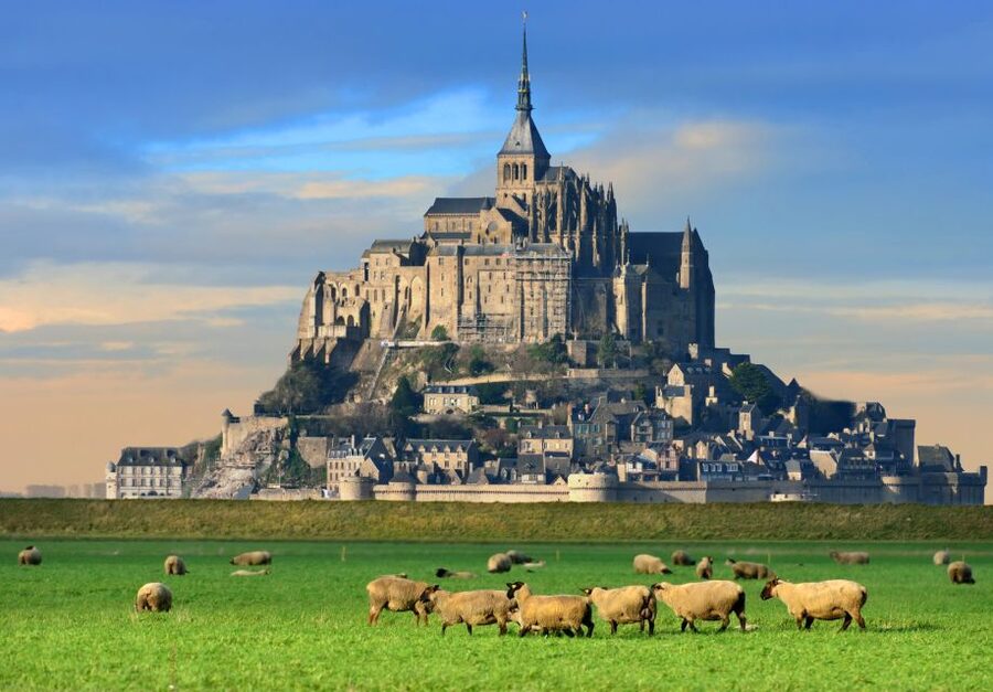From Paris: Small-Group Mont St Michel Tour & Cider Tasting - Lunch on the Island: Plan for Convenience, Not a Full Food Safari