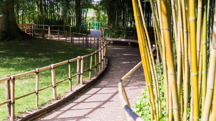 From Paris: Versailles and Giverny Full-Day Trip - Royal Apartments and the Hall of Mirrors, with room to see it twice