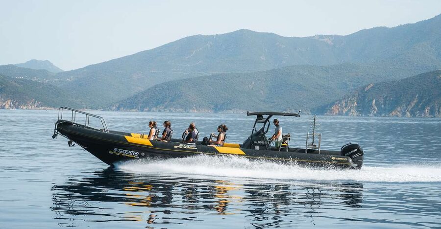 From Porto: Piana Creeks and Scandola Semi-Rigid Boat Tour - Key highlights at a glance