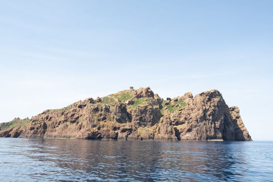 From Porto: Piana Creeks and Scandola Semi-Rigid Boat Tour - Who Should Book, and Who Should Skip This One