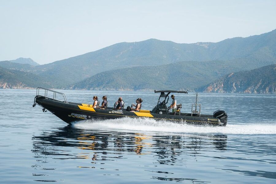 From Porto: Piana Creeks and Scandola Semi-Rigid Boat Tour - Scandola Nature Reserve: Protected Coasts and Wildlife Chances