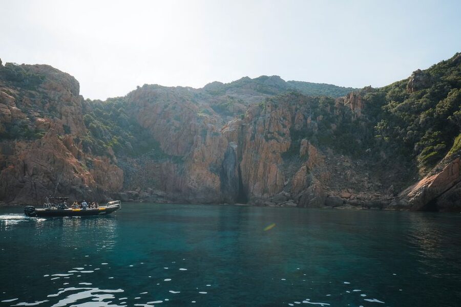 From Porto: Piana Creeks and Scandola Semi-Rigid Boat Tour - Guide Quality That Shows Up in the Details
