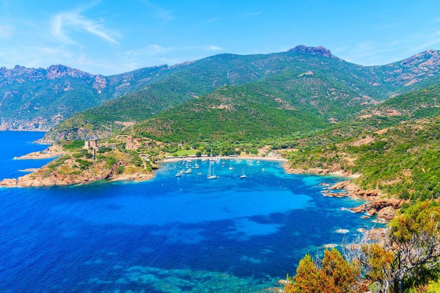 From Porto: Scandola & Girolata Tour by Boat - Scandola Nature Reserve by sea, what the guide helps you notice