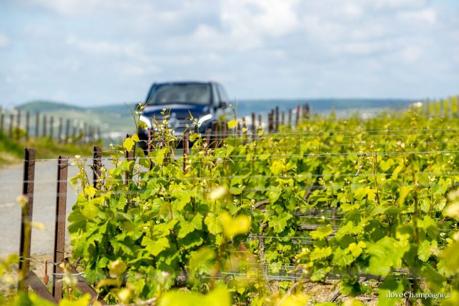 From Reims: Champagne and Family-Run Wineries Tour - Reims at 2:00 pm: finding the group and settling into the rhythm
