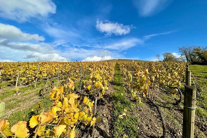 From Reims: Champagne Small-Group tour with tastings & Lunch - Price and Value: What $260.12 Buys You