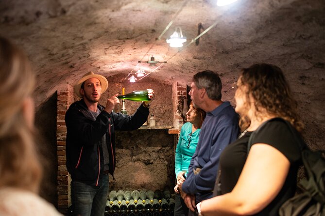 From Reims Full day Electric bike Champagne and lunch - Who this tour is best for, and who should skip it
