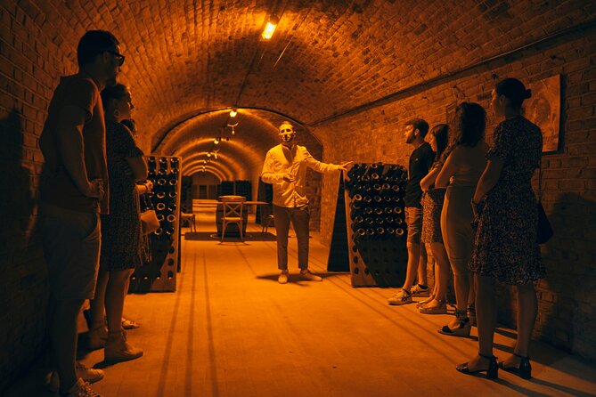 From Reims morning Champagne family growers - What six tastings actually teaches you (and how to make them count)