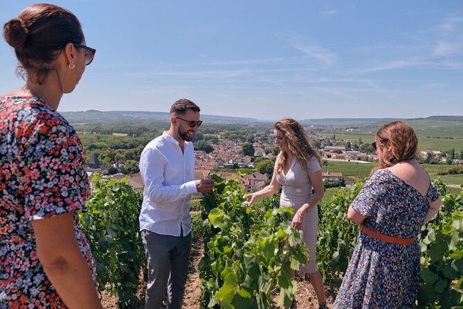 From Reims morning Champagne family growers - Group size, guide style, and the kind of questions you can ask