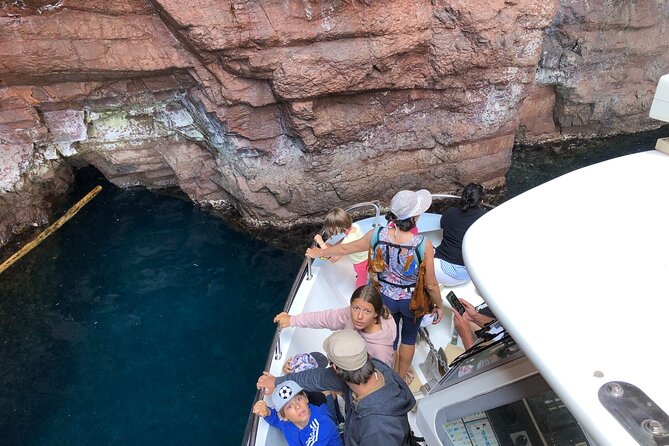 From Sagone/Cargèse: Scandola Calanques Piana Girolata Swimming - Cargèse History Break: The Genoese Tower of Omigna